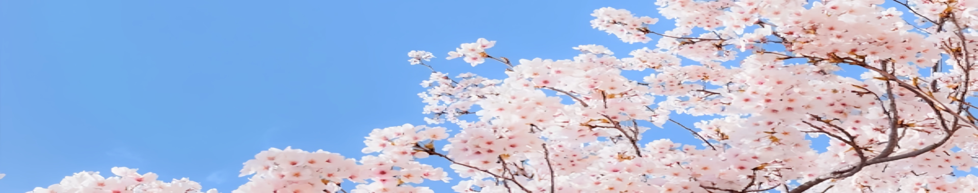 Slide background
