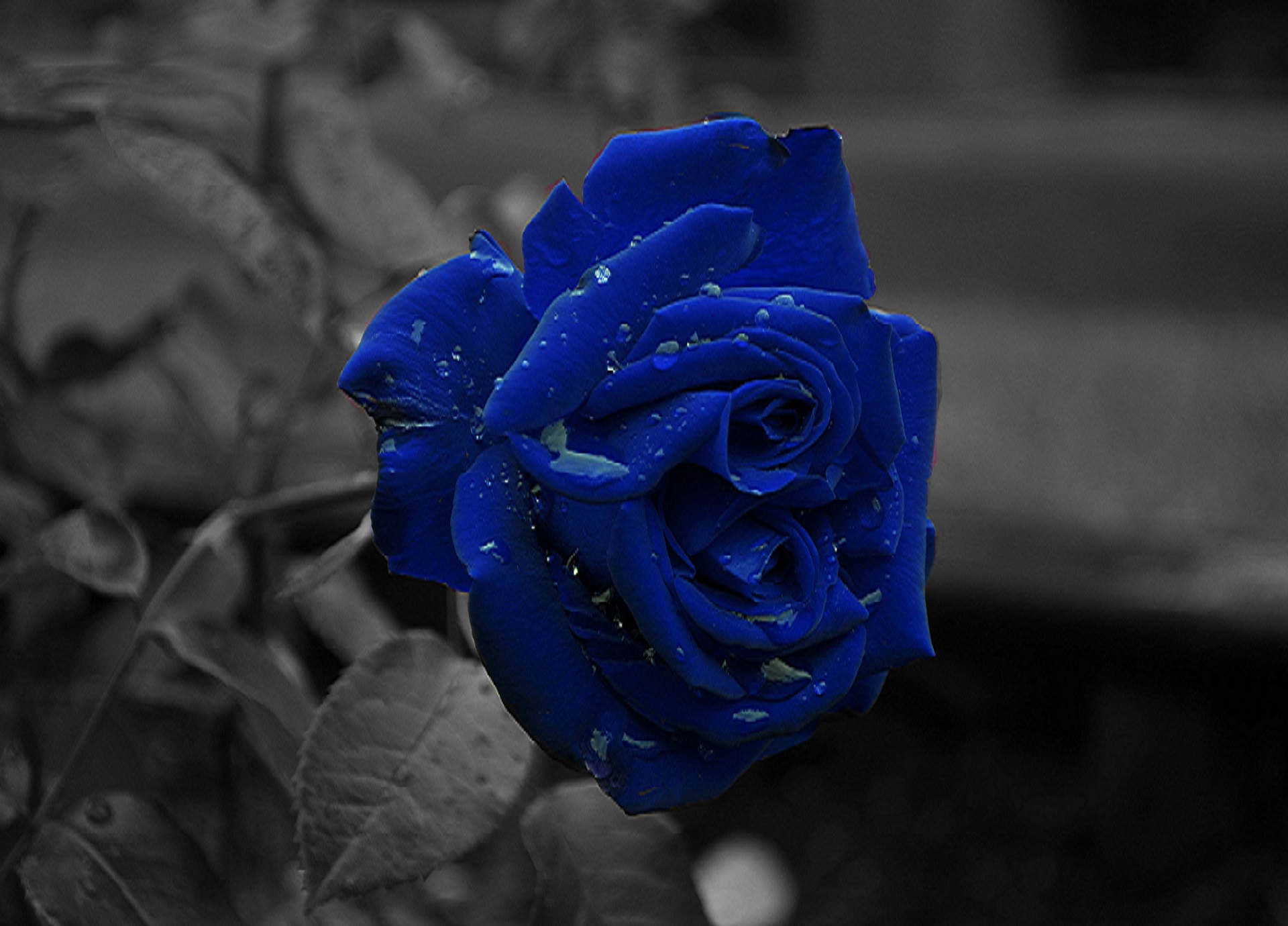 Slide background
