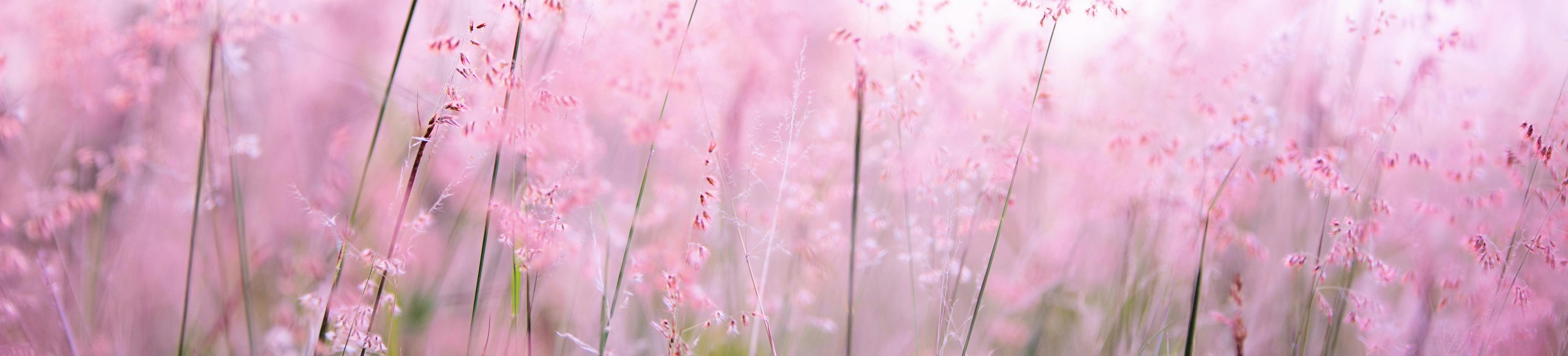 Slide background