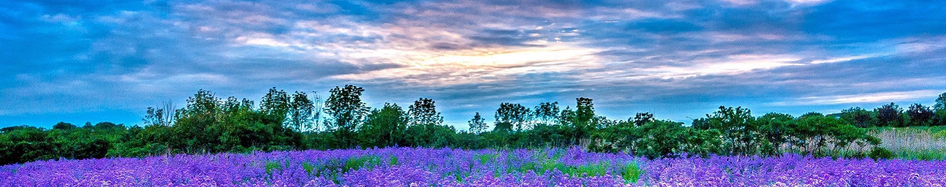 Slide background