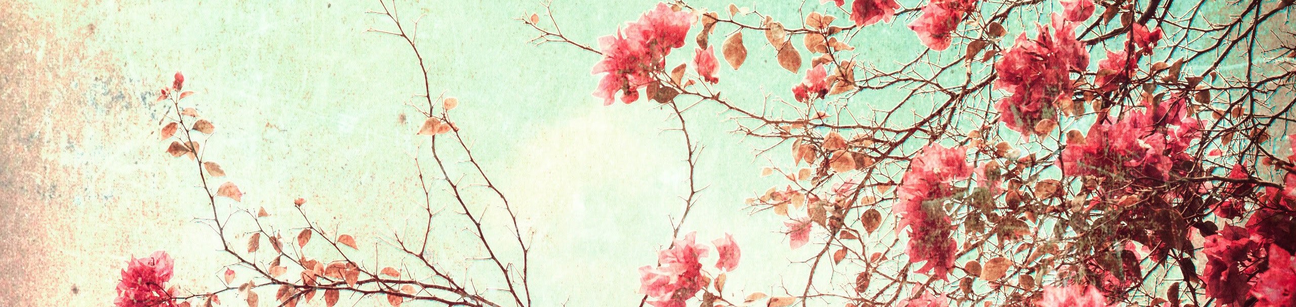 Slide background