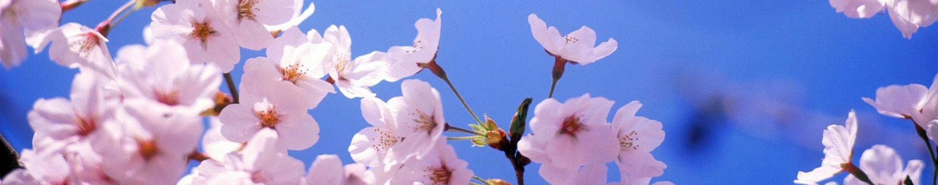 Slide background