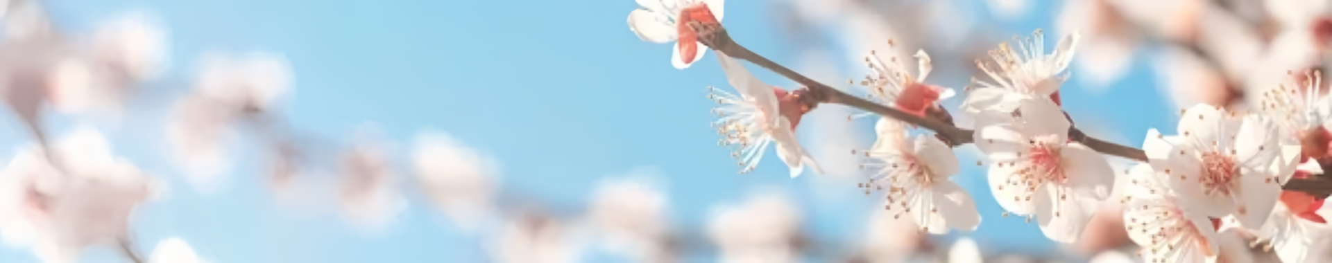 Slide background